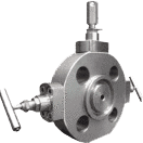 Double Block and Bleed Valve