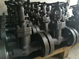 Bellows Seal Globe Valves