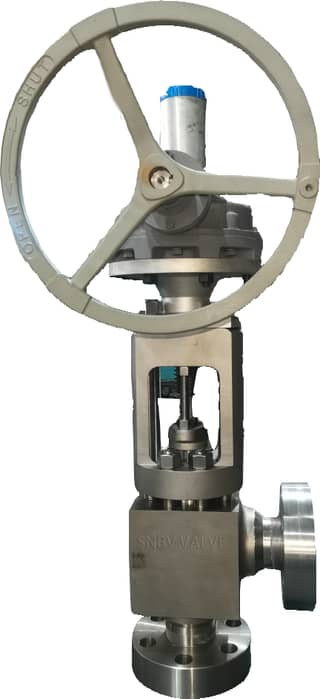 Angle globe valve