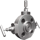 Double Block and Bleed Valve