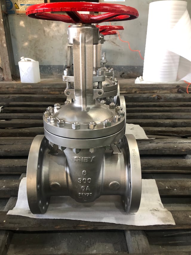 Gate valves for use in feedstock gas systems