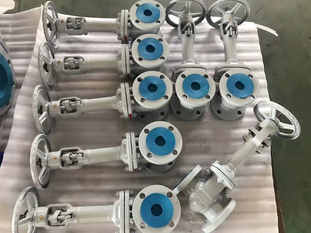 extended bonnet gate valve
