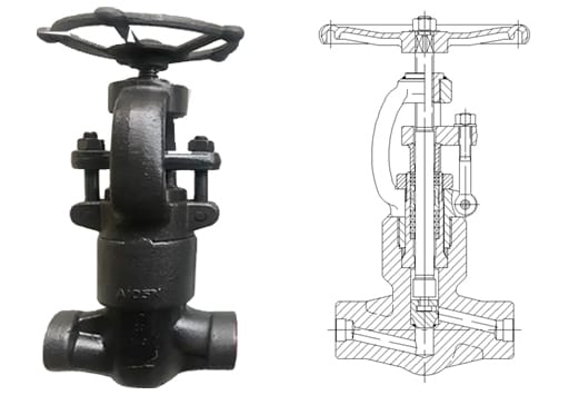 PSB GLOBE VALVE