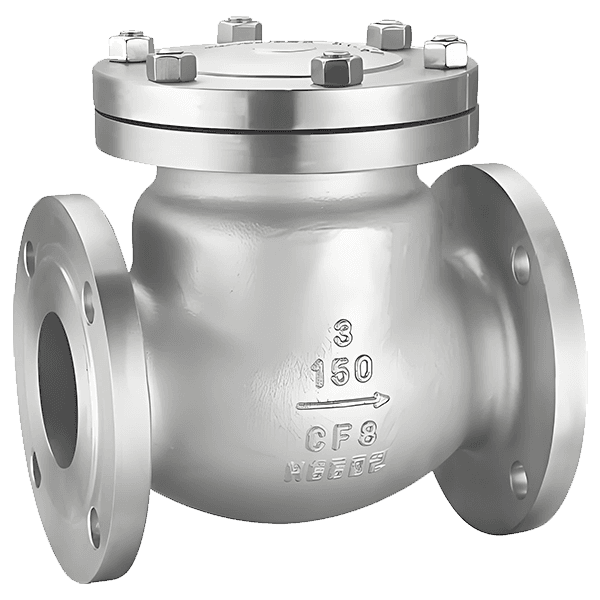 Swing Check Valve